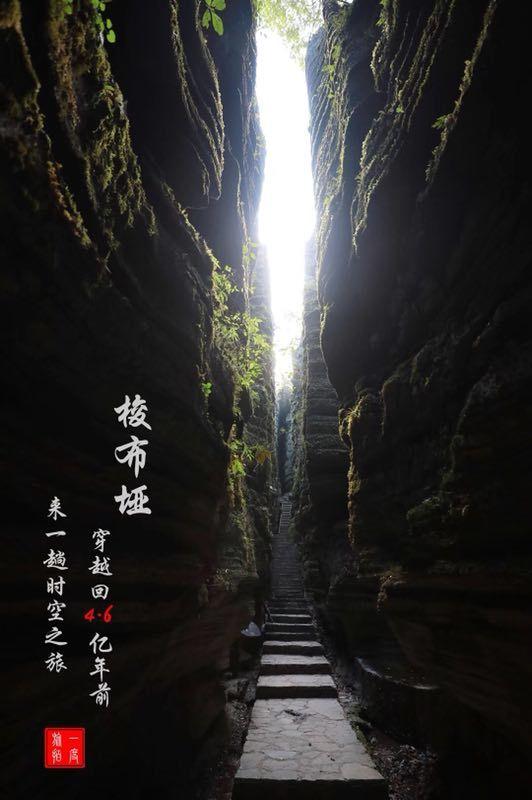 杀手6