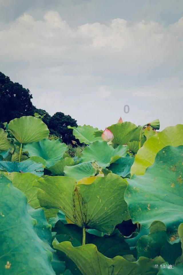 四季时尚的沫沫